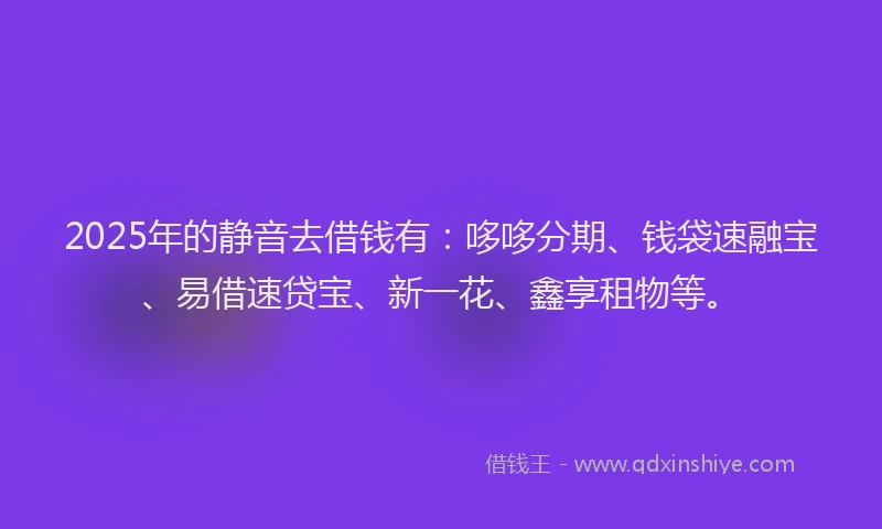 2025年的静音去借钱有:哆哆分期、钱袋速融宝、易借速贷宝、新一花、鑫享租物等。