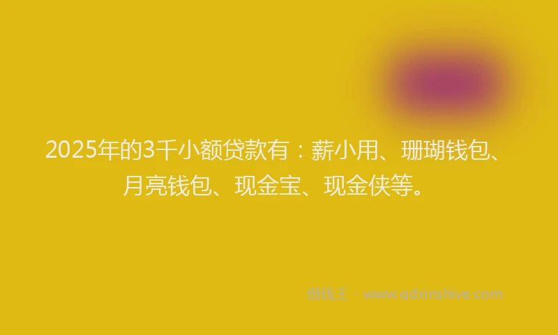 2025年的3千小额贷款有：薪小用、珊瑚钱包、月亮钱包、现金宝、现金侠等。