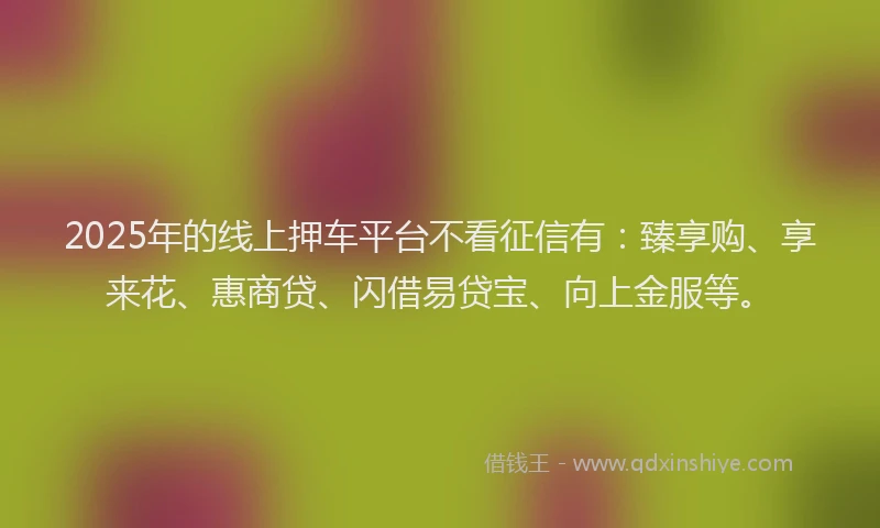 2025年的线上押车平台不看征信有：臻享购、享来花、惠商贷、闪借易贷宝、向上金服等。