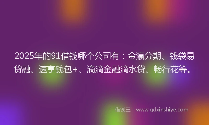 2025年的91借钱哪个公司有：金瀛分期、钱袋易贷融、速享钱包+、滴滴金融滴水贷、畅行花等。