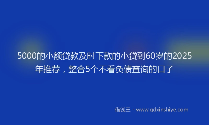 5000的小额贷款及时下款的小贷到60岁的2025年推荐，整合5个不看负债查询的口子