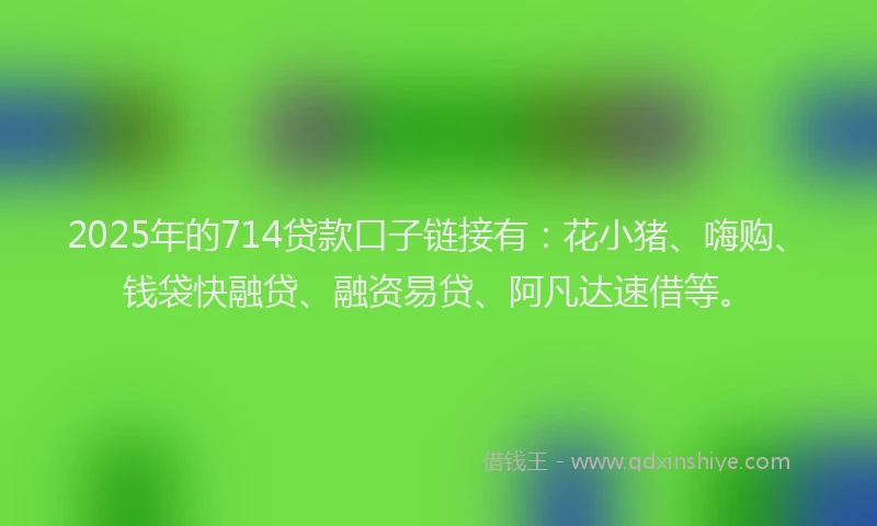 2025年的714贷款口子链接有：花小猪、嗨购、钱袋快融贷、融资易贷、阿凡达速借等。