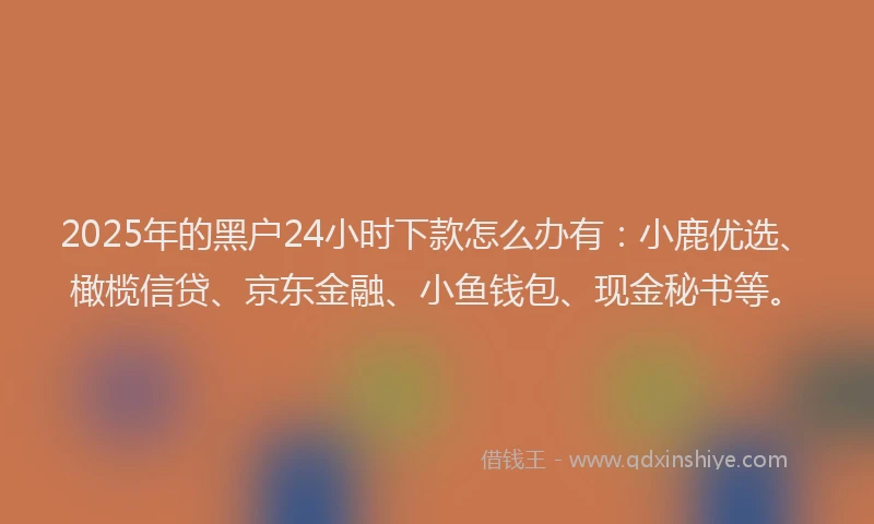 2025年的黑户24小时下款怎么办有：小鹿优选、橄榄信贷、京东金融、小鱼钱包、现金秘书等。