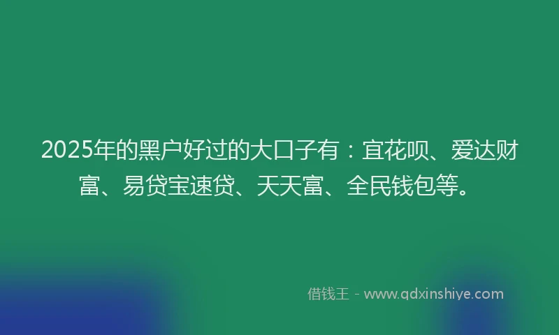 2025年的黑户好过的大口子有：宜花呗、爱达财富、易贷宝速贷、天天富、全民钱包等。