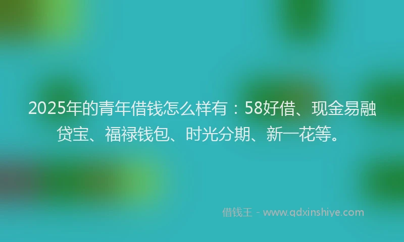 2025年的青年借钱怎么样有：58好借、现金易融贷宝、福禄钱包、时光分期、新一花等。