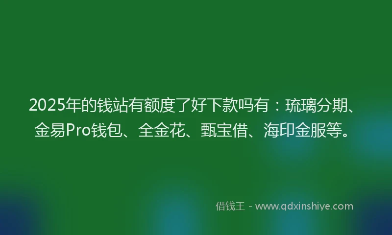 2025年的钱站有额度了好下款吗有：琉璃分期、金易Pro钱包、全金花、甄宝借、海印金服等。