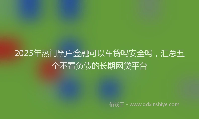 2025年热门黑户金融可以车贷吗安全吗，汇总五个不看负债的长期网贷平台