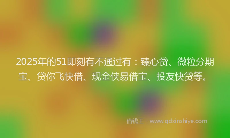 2025年的51即刻有不通过有：臻心贷、微粒分期宝、贷你飞快借、现金侠易借宝、投友快贷等。