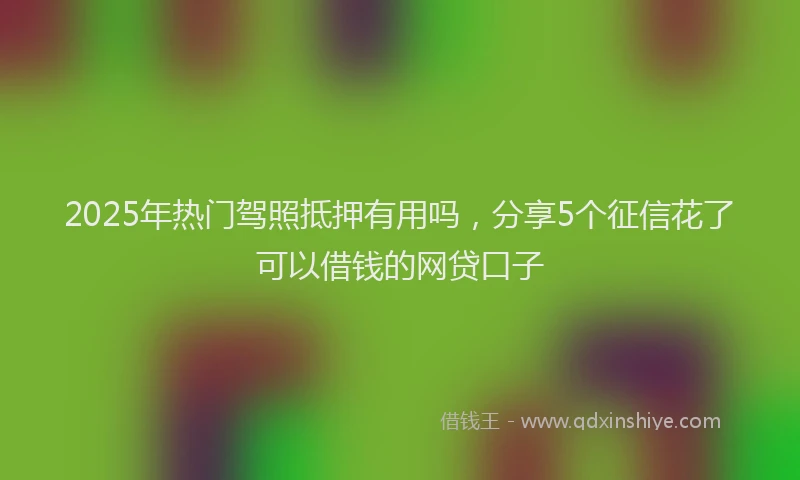 2025年热门驾照抵押有用吗，分享5个征信花了可以借钱的网贷口子