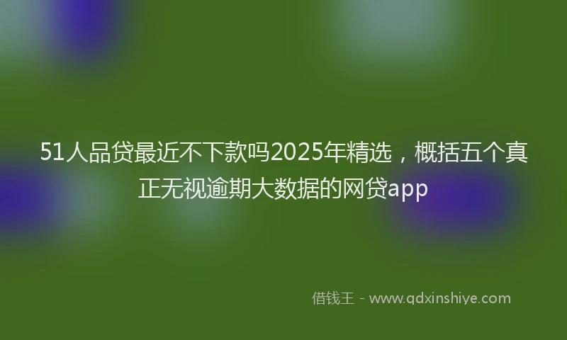 51人品贷最近不下款吗2025年精选，概括五个真正无视逾期大数据的网贷app