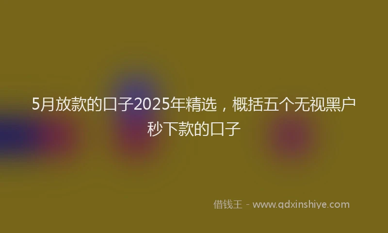 5月放款的口子2025年精选，概括五个无视黑户秒下款的口子