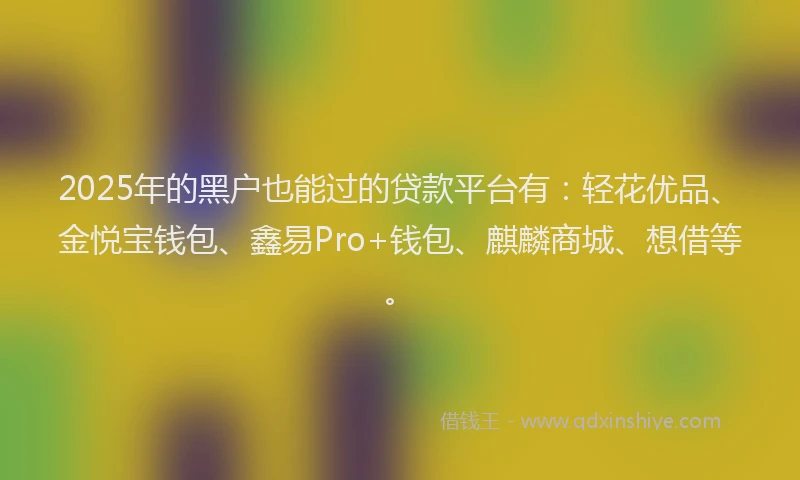 2025年的黑户也能过的贷款平台有：轻花优品、金悦宝钱包、鑫易Pro+钱包、麒麟商城、想借等。