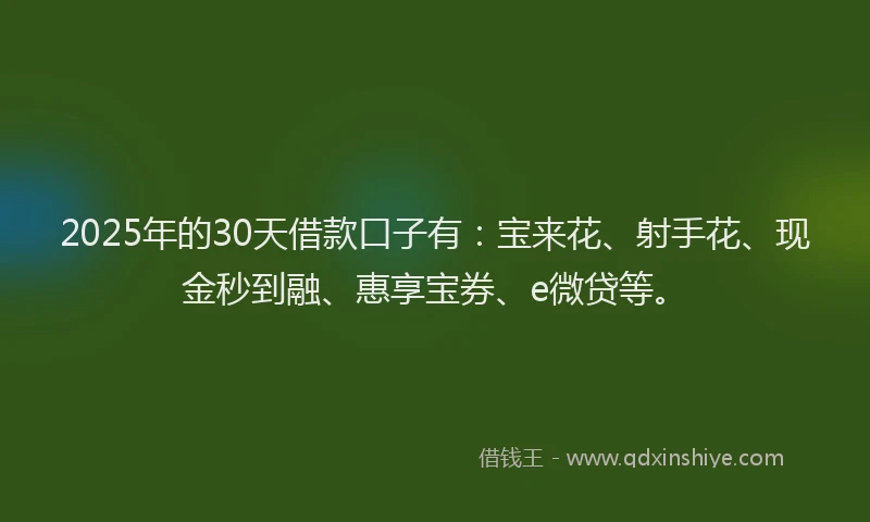 2025年的30天借款口子有：宝来花、射手花、现金秒到融、惠享宝券、e微贷等。
