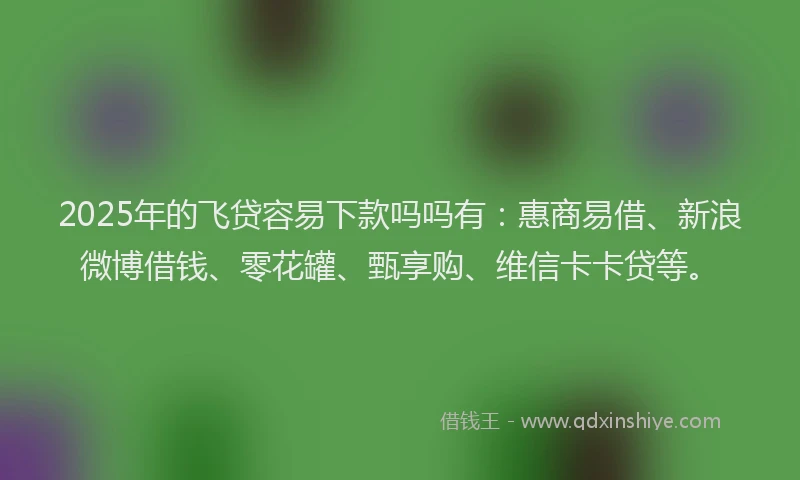 2025年的飞贷容易下款吗吗有：惠商易借、新浪微博借钱、零花罐、甄享购、维信卡卡贷等。