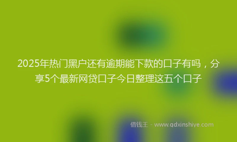 2025年热门黑户还有逾期能下款的口子有吗，分享5个最新网贷口子今日整理这五个口子