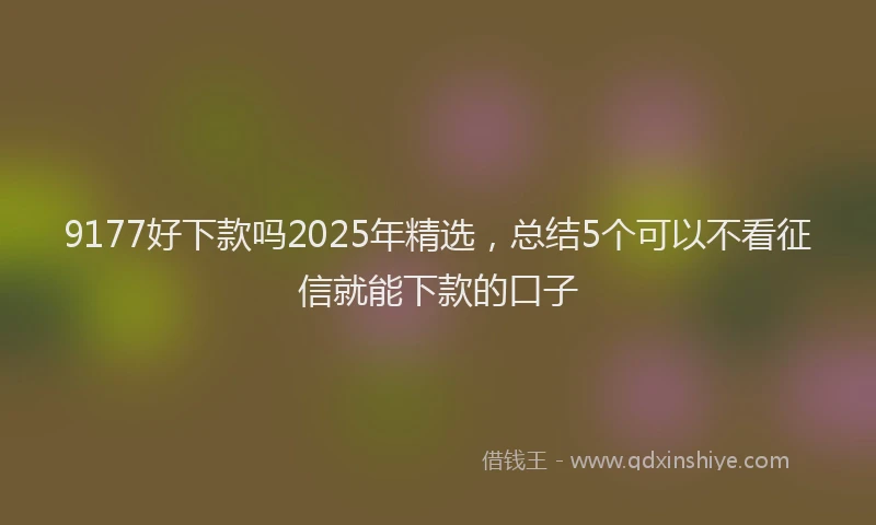 9177好下款吗2025年精选，总结5个可以不看征信就能下款的口子
