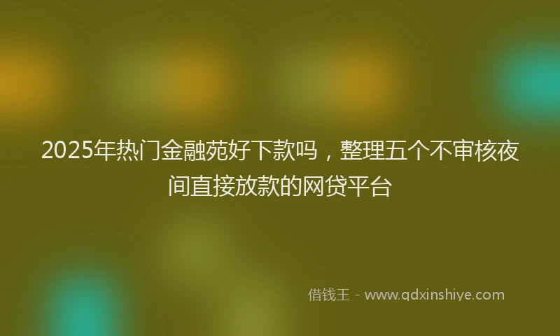 2025年热门金融苑好下款吗，整理五个不审核夜间直接放款的网贷平台