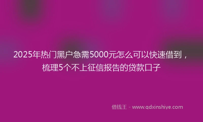 2025年热门黑户急需5000元怎么可以快速借到，梳理5个不上征信报告的贷款口子