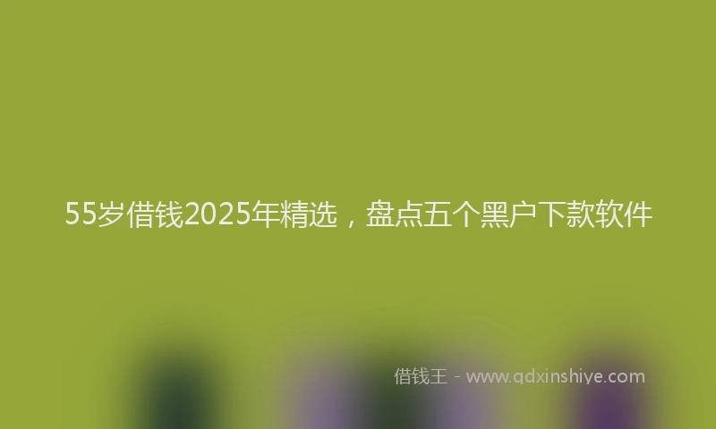 55岁借钱2025年精选，盘点五个黑户下款软件