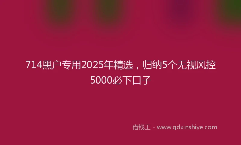 714黑户专用2025年精选，归纳5个无视风控5000必下口子