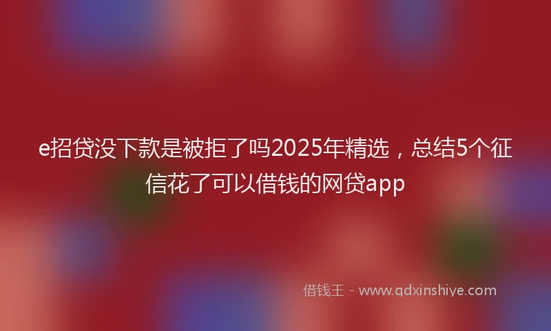 e招贷没下款是被拒了吗2025年精选，总结5个征信花了可以借钱的网贷app