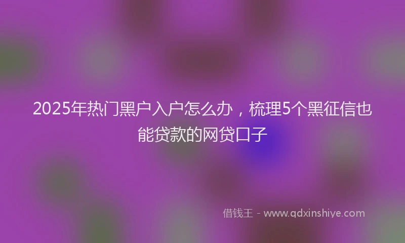 2025年热门黑户入户怎么办，梳理5个黑征信也能贷款的网贷口子