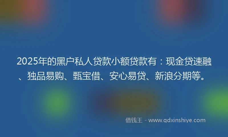 2025年的黑户私人贷款小额贷款有：现金贷速融、独品易购、甄宝借、安心易贷、新浪分期等。