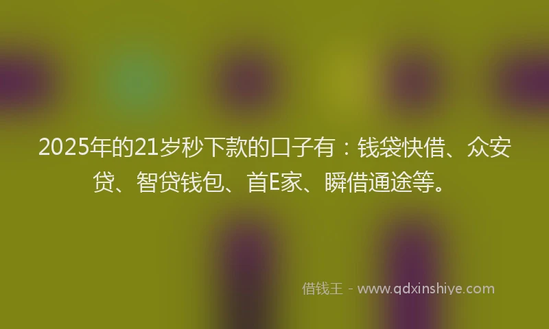 2025年的21岁秒下款的口子有：钱袋快借、众安贷、智贷钱包、首E家、瞬借通途等。