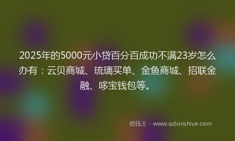 2025年的5000元小贷百分百成功不满23岁怎么办有：云贝商城、琉璃买单、金鱼商城、招联金融、哆宝钱包等。
