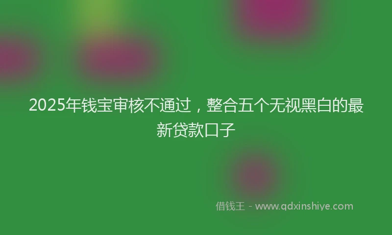 2025年钱宝审核不通过，整合五个无视黑白的最新贷款口子
