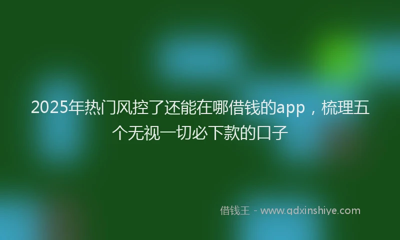 2025年热门风控了还能在哪借钱的app，梳理五个无视一切必下款的口子