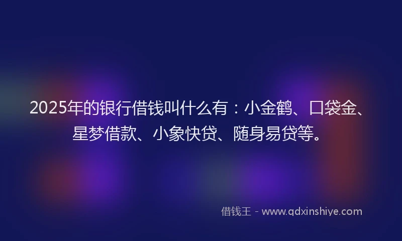 2025年的银行借钱叫什么有：小金鹤、口袋金、星梦借款、小象快贷、随身易贷等。