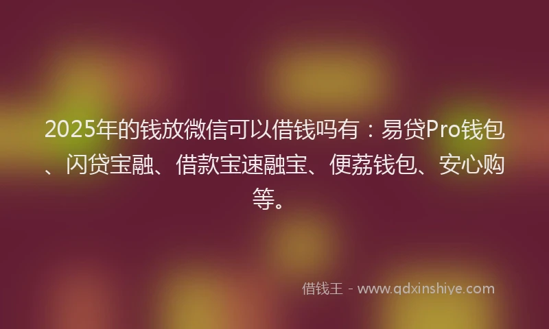 2025年的钱放微信可以借钱吗有：易贷Pro钱包、闪贷宝融、借款宝速融宝、便荔钱包、安心购等。