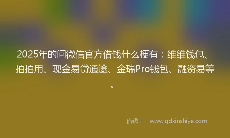 2025年的问微信官方借钱什么梗有：维维钱包、拍拍用、现金易贷通途、金瑞Pro钱包、融资易等。