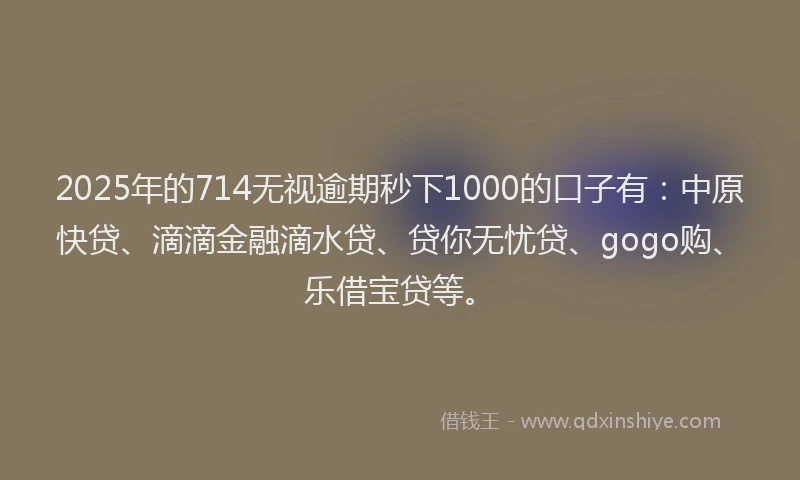 2025年的714无视逾期秒下1000的口子有：中原快贷、滴滴金融滴水贷、贷你无忧贷、gogo购、乐借宝贷等。