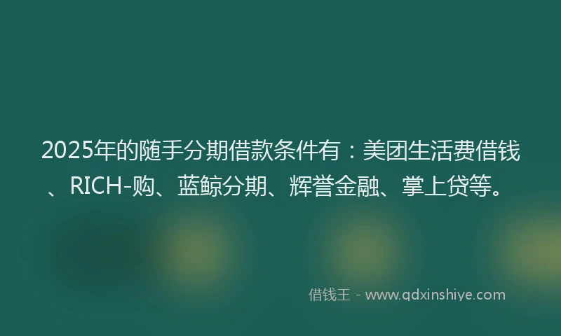 2025年的随手分期借款条件有：美团生活费借钱、RICH-购、蓝鲸分期、辉誉金融、掌上贷等。
