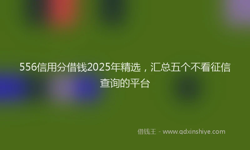 556信用分借钱2025年精选，汇总五个不看征信查询的平台