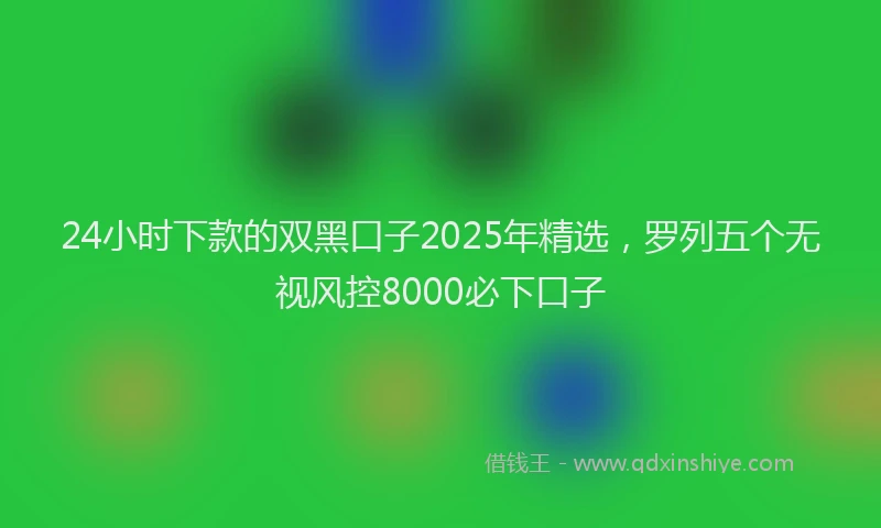 24小时下款的双黑口子2025年精选，罗列五个无视风控8000必下口子
