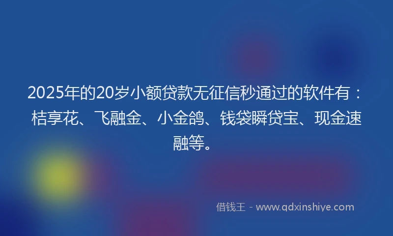 2025年的20岁小额贷款无征信秒通过的软件有：桔享花、飞融金、小金鸽、钱袋瞬贷宝、现金速融等。