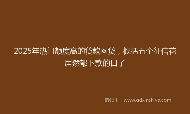 2025年热门额度高的贷款网贷，概括五个征信花居然都下款的口子