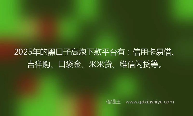 2025年的黑口子高炮下款平台有：信用卡易借、吉祥购、口袋金、米米贷、维信闪贷等。