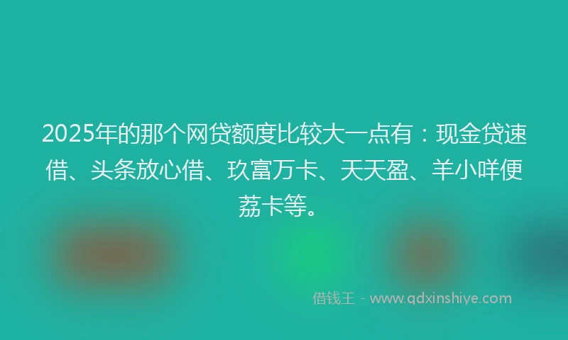 2025年的那个网贷额度比较大一点有：现金贷速借、头条放心借、玖富万卡、天天盈、羊小咩便荔卡等。