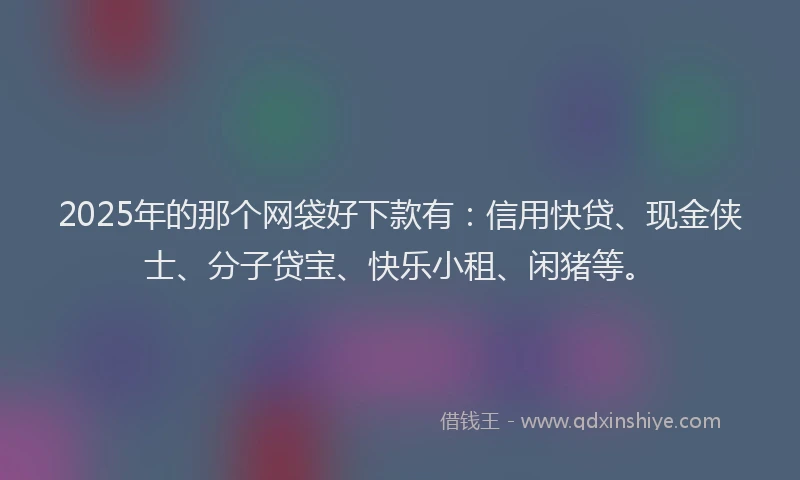 2025年的那个网袋好下款有：信用快贷、现金侠士、分子贷宝、快乐小租、闲猪等。