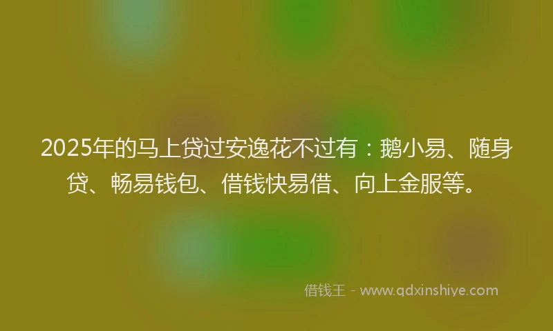 2025年的马上贷过安逸花不过有：鹅小易、随身贷、畅易钱包、借钱快易借、向上金服等。