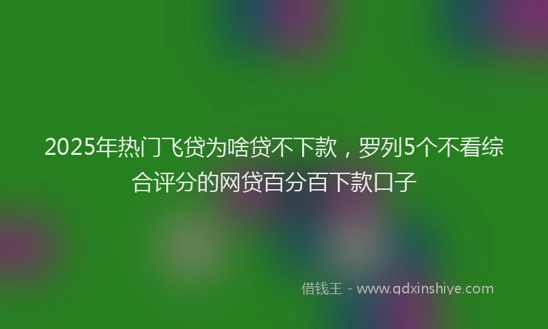 2025年热门飞贷为啥贷不下款，罗列5个不看综合评分的网贷百分百下款口子
