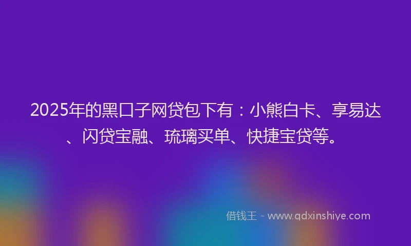 2025年的黑口子网贷包下有：小熊白卡、享易达、闪贷宝融、琉璃买单、快捷宝贷等。