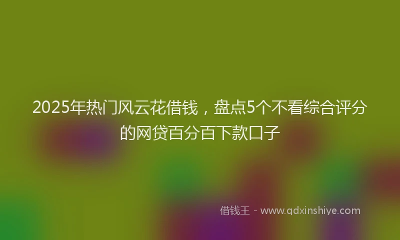 2025年热门风云花借钱，盘点5个不看综合评分的网贷百分百下款口子