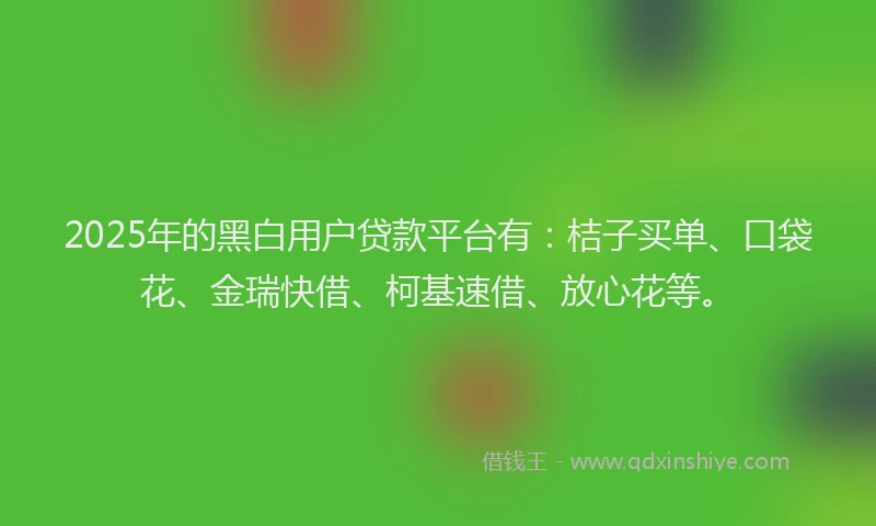 2025年的黑白用户贷款平台有：桔子买单、口袋花、金瑞快借、柯基速借、放心花等。