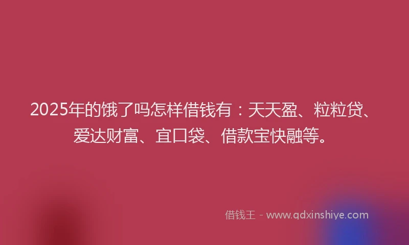 2025年的饿了吗怎样借钱有：天天盈、粒粒贷、爱达财富、宜口袋、借款宝快融等。