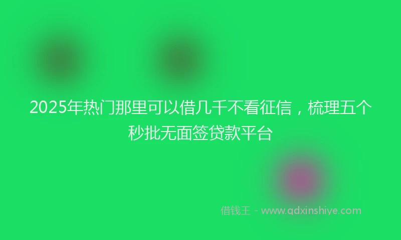 2025年热门那里可以借几千不看征信，梳理五个秒批无面签贷款平台